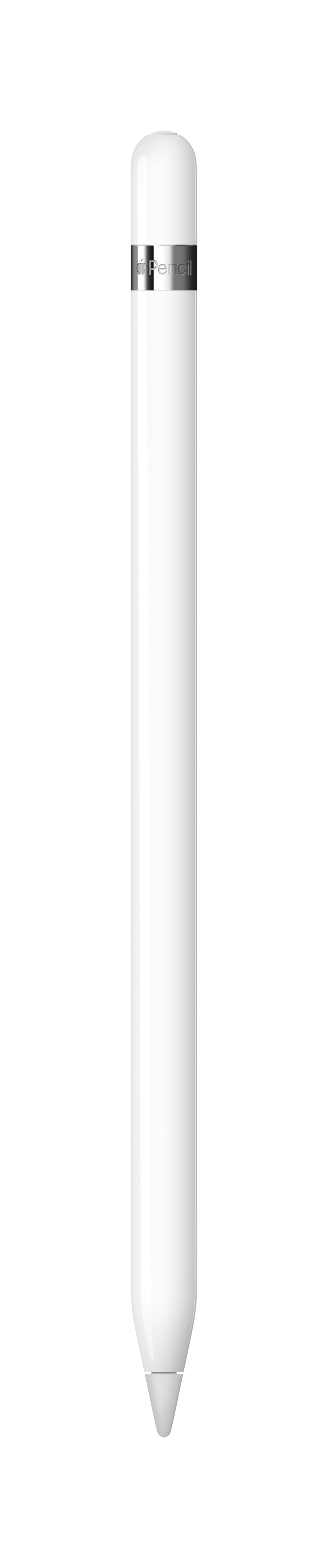 Vertical image of Apple Pencil 1