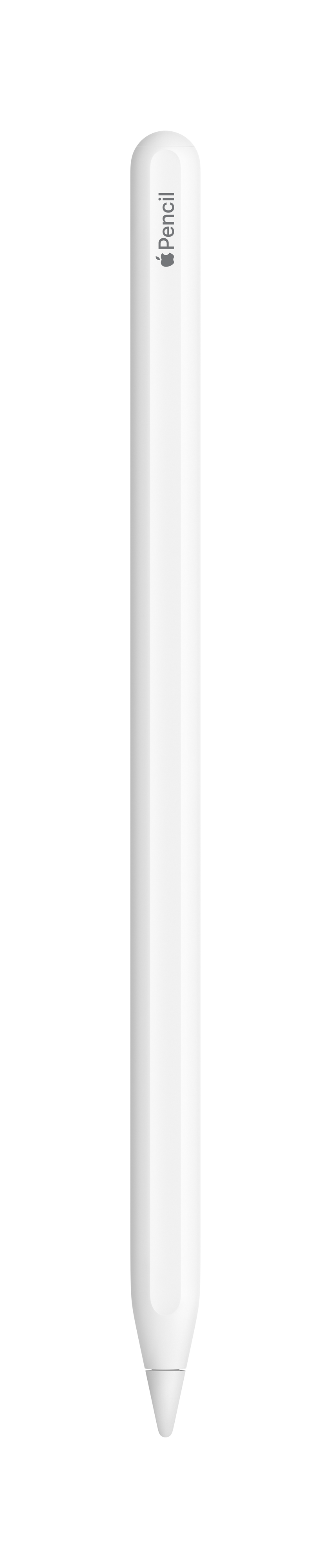 Vertical front view of the Apple Pencil 2.